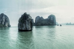 Carta da Parati Paesaggi e Natura Spiaggia e Mare Tropicale