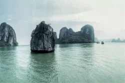 Carta da Parati Paesaggi e Natura Spiaggia e Mare Tropicale