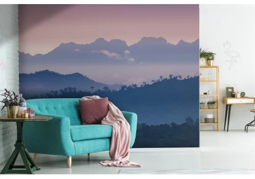 Forest wallpaper on the mountains natural landscape