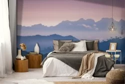 Forest on the mountains landscape nature wallpaper