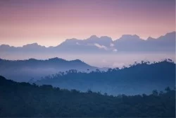 Carta da Parati Paesaggi e Natura Foreste e Alberi Montagna