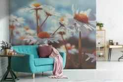 Carta da Parati margherite fiori natura