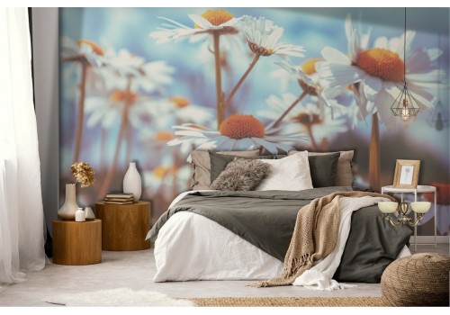 Daisy flowers nature wallpaper 2