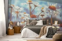 Daisy flowers nature wallpaper