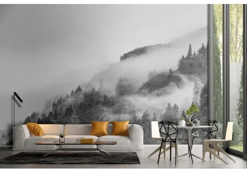 Mountain forest wallpaper photography