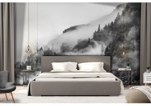 Mountain forest wallpaper photography 2