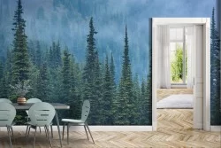 Wallpaper of Forests and Trees