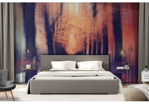 Wallpaper tree-lined avenue nature landscape 2