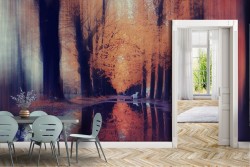 Wallpaper of Forests and Trees