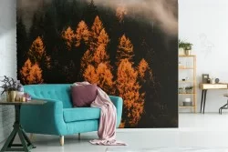 Carta da Parati paesaggio natura bosco autunno