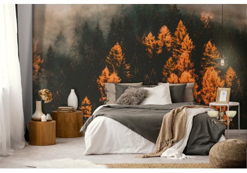 Wallpaper landscape nature forest autumn 2