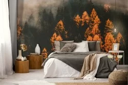 Wallpaper landscape nature forest autumn