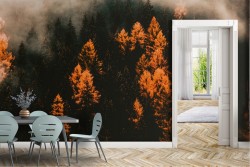Carta da Parati Foreste e Alberi