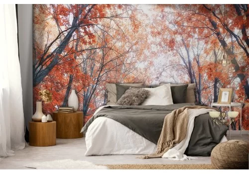 Carta da Parati viale alberato natura autunno 2