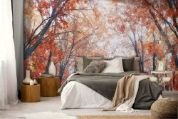 Wallpaper tree-lined avenue nature autumn