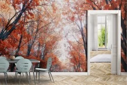 Wallpaper of Forests and Trees