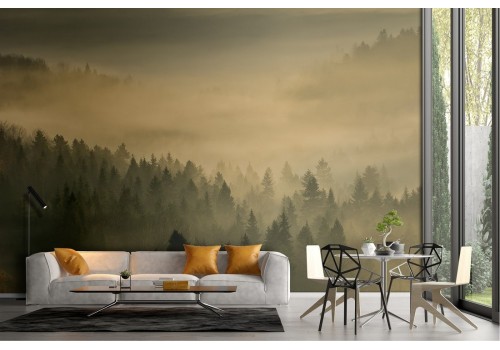 Wallpaper landscape trees forest nature