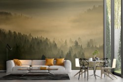 Carta da Parati paesaggio alberi foresta natura