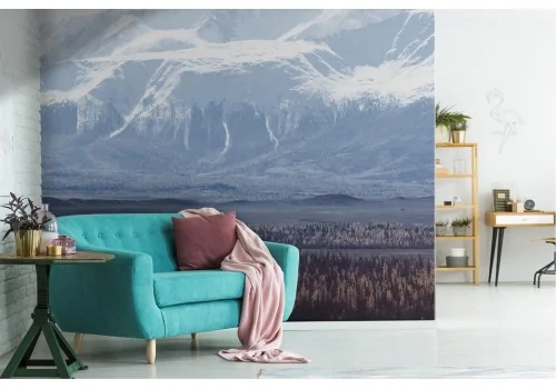 Wallpaper of forest among snow-capped mountains nature