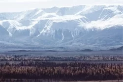 Carta da Parati Paesaggi e Natura Foreste e Alberi Montagna Neve