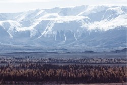 Wallpaper Landscapes and Nature Forests and Trees Mountain Snow