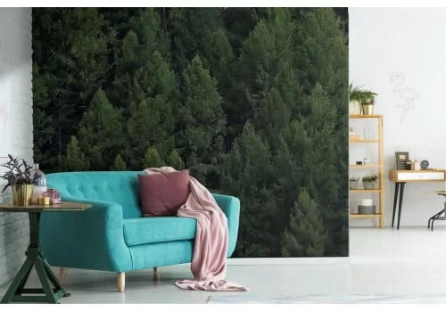 Carta da Parati alberi verde foresta paesaggio