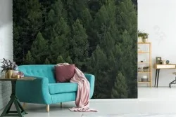 Carta da Parati alberi verde foresta paesaggio