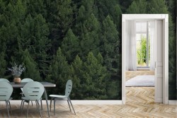 Carta da Parati Foreste e Alberi