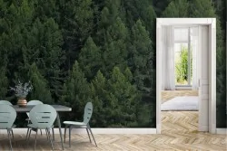 Carta da Parati Foreste e Alberi