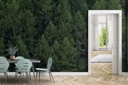 Wallpaper of Forests and Trees