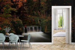 Wallpaper Rivers Waterfalls Lakes Forests and Trees