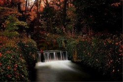 Carta da Parati Paesaggi e Natura Fiumi Cascate Laghi Foreste e Alberi