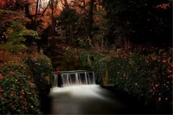 Wallpaper Landscapes and Nature Rivers Waterfalls Lakes Forests and Trees