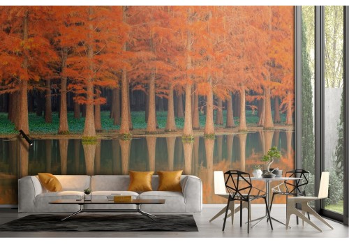 Carta da Parati paesaggio alberi autunno sul lago