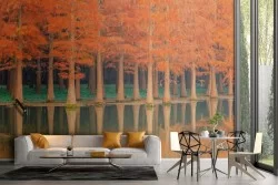 Carta da Parati paesaggio alberi autunno sul lago