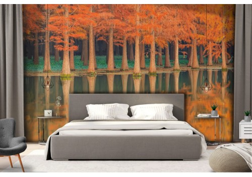 Wallpaper landscape autumn trees on the lake 2