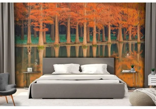 Wallpaper landscape autumn trees on the lake 2