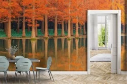 Carta da Parati Foreste e Alberi