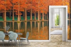 Wallpaper of Forests and Trees