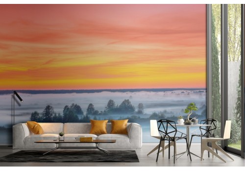 Wallpaper trees with sunset dawn landscape sky