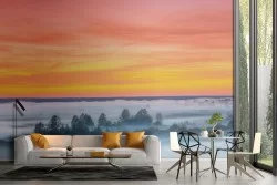 Wallpaper trees with sunset dawn landscape sky