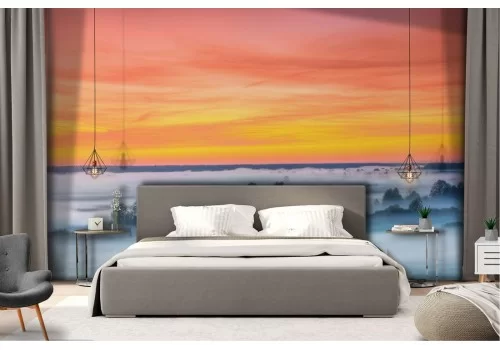 Carta da Parati alberi con cielo tramonto alba paesaggio 2