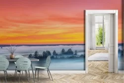 Carta da Parati Cielo Foreste e Alberi