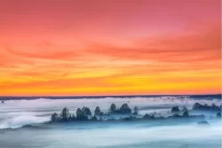 Wallpaper Landscapes and Nature Sky Forests and Trees