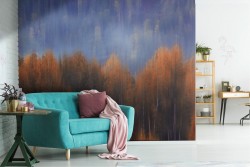 Wallpaper trees forest nature autumn