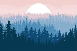 Wallpaper Flora and Fauna Landscapes and Nature Design and Styles Trees Forests and Trees Stylized Nature