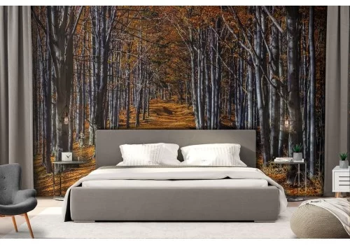 Carta da Parati viale nel bosco paesaggio natura 2