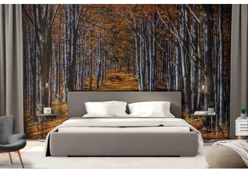 Wallpaper avenue in the forest nature landscape 2