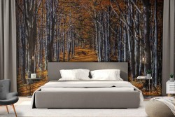 Carta da Parati viale nel bosco paesaggio natura