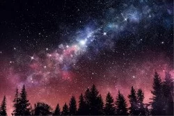 Carta da Parati Paesaggi e Natura Foreste e Alberi Universo